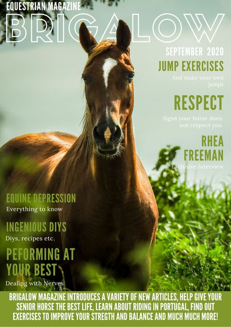 Horse Magazine Cover, Leaflet Ideas, Equestrian Magazine, Toucan Illustration, Equine Fashion, Magazine Cover Ideas, Magazine Design Cover, Newsletter Ideas, Horse Art Drawing