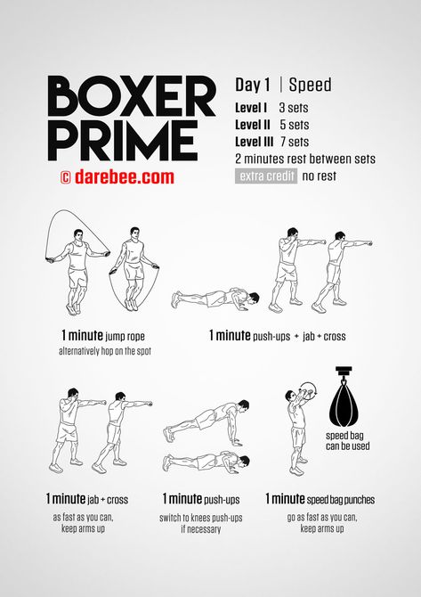 Boxer Prime Day 1, Beginner Boxer Workout, Boxer Prime, Boxer Abs, Boxer Workout, Boxing Workout Routine, Boxing Routine, Boxing Workout Beginner, Home Boxing Workout