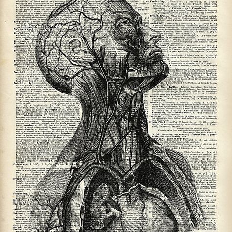 Medical Human Anatomy Illustration Over Old Book Page Human Anatomy Illustration, Vintage Medical Art, Dark Academia Posters, Anatomy Illustration, Medical Drawings, Medical Posters, Human Anatomy Drawing, Book Page Art, Human Skeleton