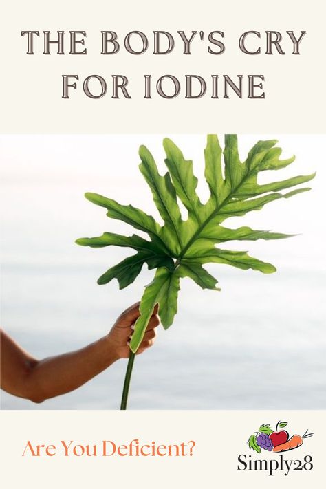 Iodine Health Benefits, Iodine Element, Iodine Deficiency Symptoms, Foods With Iodine In Them, How To Get More Iodine In Your Diet, Benefits Of Iodine, Iodine Benefits, How To Make Iodine, Foods With Iodine