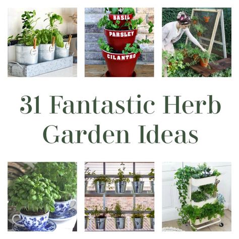 Hello, DIYers! Are you interested in growing your own herb garden? Look no further! You can put one outside, inside, or grow it in a greenhouse. Which one of these interesting herb gardens will you choose to recreate?! Happy gardening! Up-cycled Fence Post Vertical Herb Garden Give this a shot! Found Rebecca’s Bird Gardens Small […] The post 31 Fantastic Herb Garden Ideas appeared first on DIY Projects by Big DIY Ideas. Ladder Planter, Herb Garden Ideas, Herb Garden Pots, Hanging Herb Garden, Hanging Herbs, Herb Gardens, Vertical Garden Wall, Pallet Ideas Easy, Vertical Herb Garden