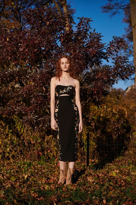 Cinq à Sept Pre-Fall 2018 Fashion Show | Vogue Pre Fall Fashion, Cinq A Sept, Girly Dresses, Strapless Midi Dress, Fashion Show Collection, Fall 2018, Fall Looks, Pre Fall, Yorkie