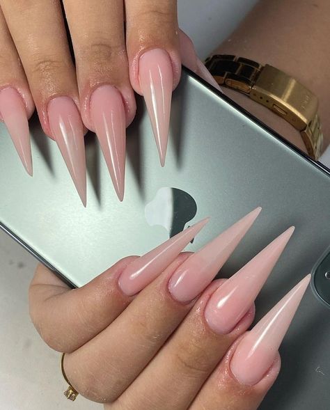 Long Stellio Nails, Soft Pink Stiletto Nails, Stilletos Nails Long, Plain Stiletto Nails, Nude Stilletos Nails, Stiletto Natural Nails, Long Pointy Acrylic Nails, Nude Stiletto Nails, Simple Stiletto Nails