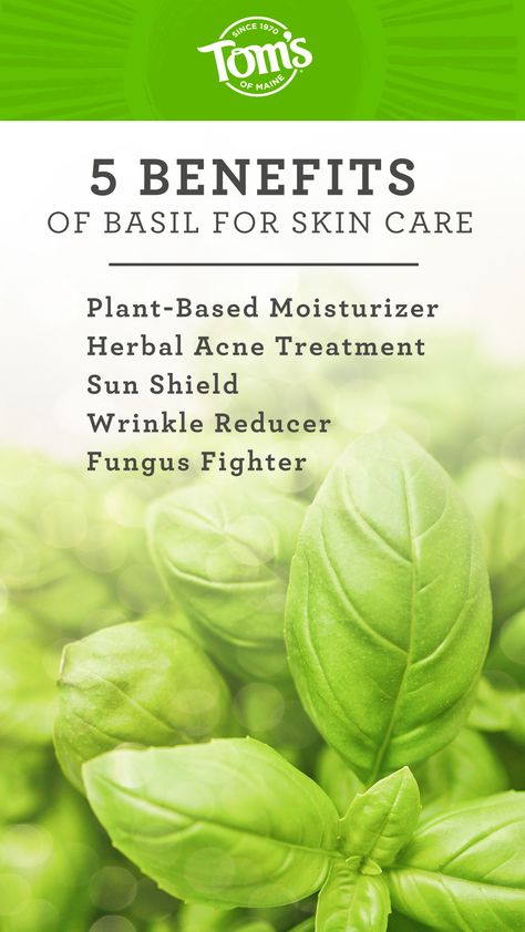 From the basil plant's leaves and flowers to its essence as an oil, it may offer a variety of benefits to help protect, clear, and clean your skin, so you can show off that glam glow! Benefits Of Basil, Fungal Infection Skin, Basil Essential Oil, Glam Glow, Ayurvedic Healing, Natural Toothpaste, Wrinkle Reduction, Best Essential Oils, Good Health Tips