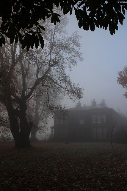 Sudley House in the autumn mist | by Towner Images House In The Forest, Spooky Autumn, Dark Naturalism, Sebastian Michaelis, Dark Paradise, Ciel Phantomhive, Gothic Aesthetic, Dark Academia Aesthetic, The Fog