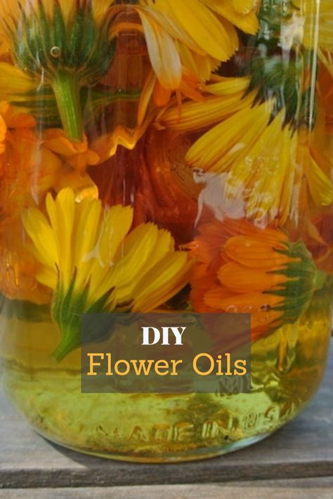 DIY Flower Oils Diy Flower Oil, How To Make Sunflower Oil At Home, Preserve Flowers In Oil, How To Make Perfume From Flowers, Flowers In Baby Oil, Diy Sunflower Oil, Homemade Perfumes, Flower Infused Oil, Oils For Healing