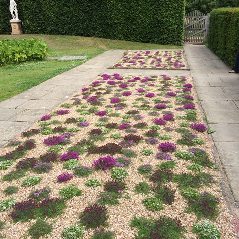 Board Landscape Architecture, Red Creeping Thyme, Corner Landscaping, Sissinghurst Garden, Thyme Garden, Grass Alternative, Outdoor Landscape Design, Thyme Plant, Wallpaper Garden