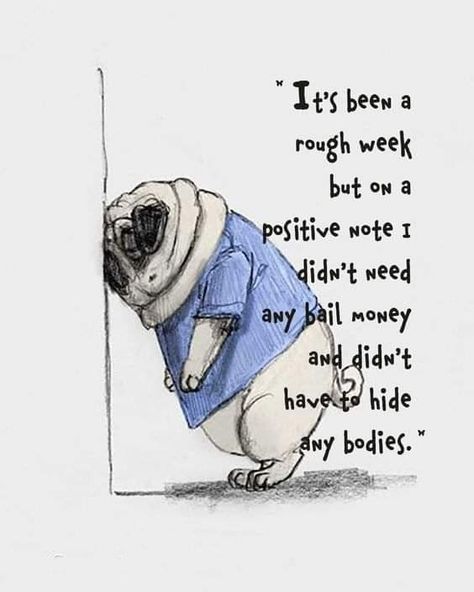 It's been a rough week but on a positive note I didn't need any bail money and didn't have to hide any bodies. Bail Money, Rough Week, Smile Images, Toy Dogs, Pugs And Kisses, Dog Attack, Dog Jokes, Pug Art, Funny Good Morning Quotes