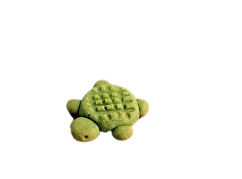 turtle cookie :D Turtle Widget, Turtle Pfp Aesthetic, Turtle Pfp, Turtle Jellycat, Jelly Cat Turtle, Turtle Icon, Turtle Png, Turtle Cheesecake, Turtle Cookies