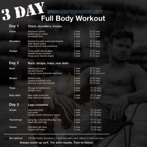 3 Day Full Body Workout, 3 Day Workout, Weight Training Plan, Full Body Workout Plan, Workout Plan For Men, Full Body Workout Routine, Lifting Workouts, Workout Splits, Weight Lifting Workouts