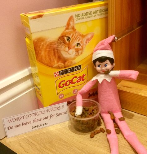 Elf On The Shelf Cat Ideas, Elf Biscuits, Elf On The Shelf Eating, Elf On Shelf Funny, Cat Biscuits, Elf Halloween, Elf 2023, Elf 2024, Elf Shenanigans