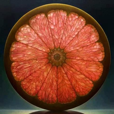 Fibonacci Grapefruit! Dennis Wojtkiewicz, Foto Macro, Fruit Painting, Wow Art, Pics Art, Patterns In Nature, Sacred Geometry, Love Art, Mother Nature