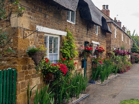 Rural England, Cottage Vibes, Time Turner, Project Board, Country Side, England Uk, Great Britain, The Row, Places To Go