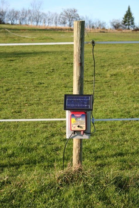 An Installed Electric Fence Charger Diy Electric Fence, Diy Horse Fencing, Solar Electric Fence, Farming Tips, Fence Fabric, Pasture Fencing, Electric Fencing, Farm Hacks, Horse Farm Ideas