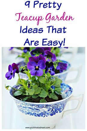 Tea Cup Fairy Garden Ideas Diy, Teacup Plants, Diy Miniature Garden, Tea Cup Crafts, Pretty Plant, Teacup Gardens, Teacup Crafts, Fake Plants Decor, Mini Gardens