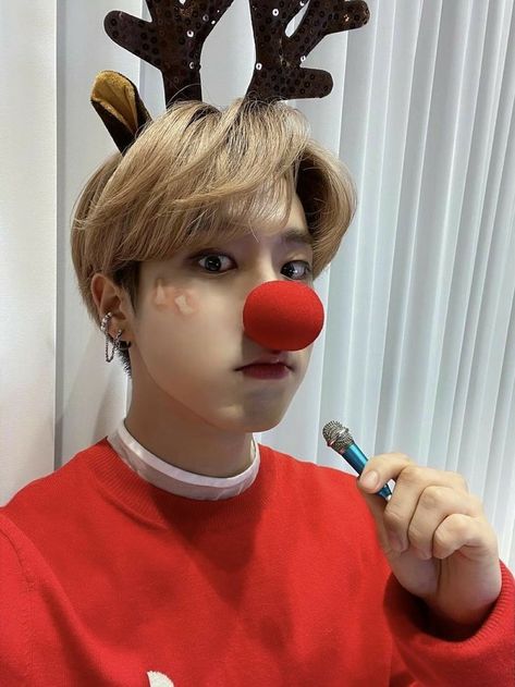 Han Christmas Pfp, Han Jisung Christmas Icon, Kpop Christmas Icons Stray Kids, Red Han Jisung Icon, Han Jisung Squirrel, Stray Kids Seungmin, Ji Sung, World Domination, Piece Of Cakes