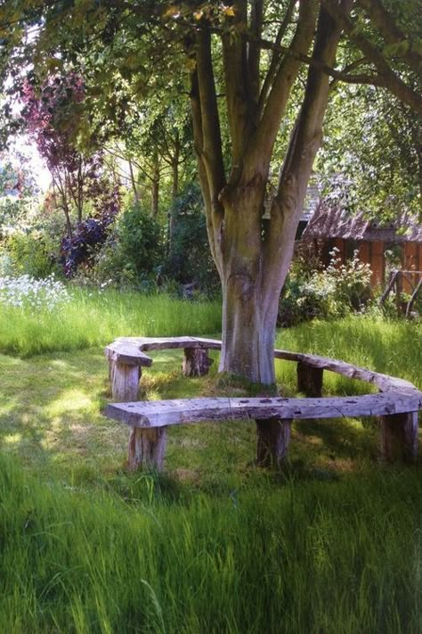 Summer Farm Shade Tree Landscaping Around Trees, Tree Bench, Meadow Garden, Under A Tree, Have Inspiration, Outdoor Reception, Garden Yard Ideas, Garden Seating, Garden Structures