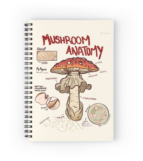 Anatomy Of A Mushroom, Mushroom Anatomy Drawing, Mushroom Sketchbook Page, Mushroom Journal Page, Sketchbook Front Page Ideas, Mushroom Diagram, Mushroom Anatomy, Anatomy Journal, Mushroom Notebook