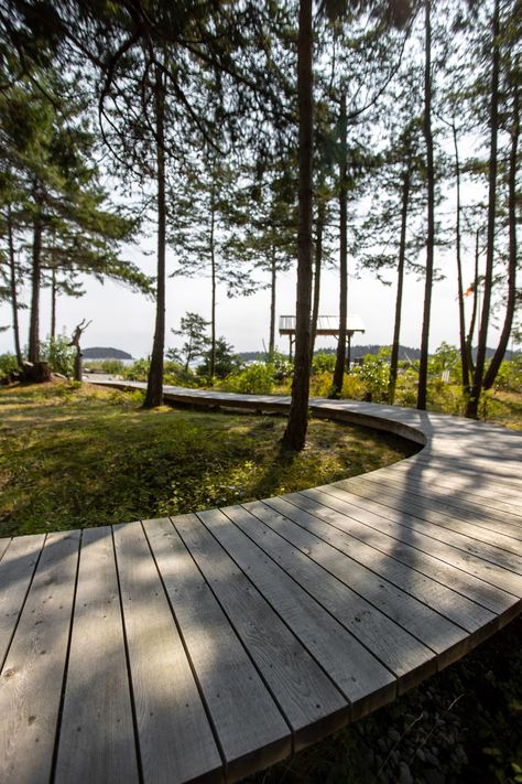 Beach Entrance Design, Boardwalk Landscape, Penthouse Patio, Forest Spa, Amatitlan, Boardwalk Beach, River Bar, Beach Architecture, Wood Path