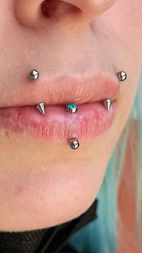 Angel Bites And Vertical Labret, Fang Percing, Vertical Angel Bites Piercing, Angel Fangs Piercing Lip, Angle Fangs Piercings, Reverse Angel Fangs, Angel Fang Piercing, Vertical Snakebites, Verticle Labret Piercing