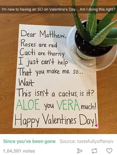 Gifts For Boyfriend Long Distance, Diy Valentines Gifts For Him, Diy Gifts For Christmas, Saint Valentin Diy, Red Cactus, Diy Valentine, Relationship Gifts, My Funny Valentine, Practical Jokes