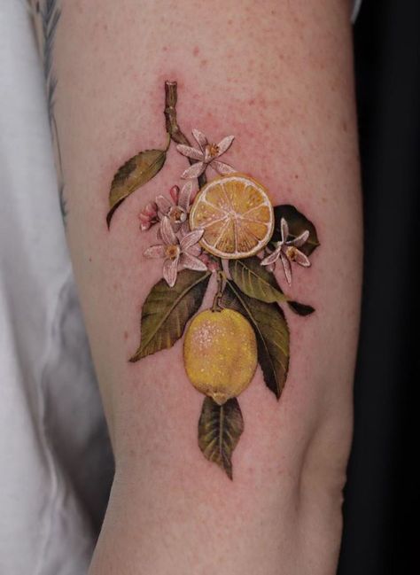 Lemon Tree Tattoo Lemon Tree Tattoo, Traditional Tattoo Symbols, Tree Tattoo Meaning, Tree Branch Tattoo, Fruit Tattoo, Food Tattoos, Ribcage Tattoo, Branch Tattoo, Blossom Tattoo