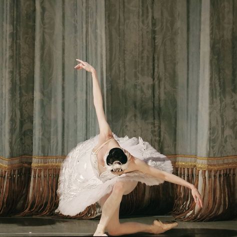 Oksana Skorik after Swan Lake in the Mariinsky Theatre, ph. by Catherine Pollak. Swan Lake Ballet, Ballet Images, Ballet Technique, Nature Museum, Classical Ballet, Aesthetic Painting, Dance Art, Sketchbook Inspiration, Swan Lake