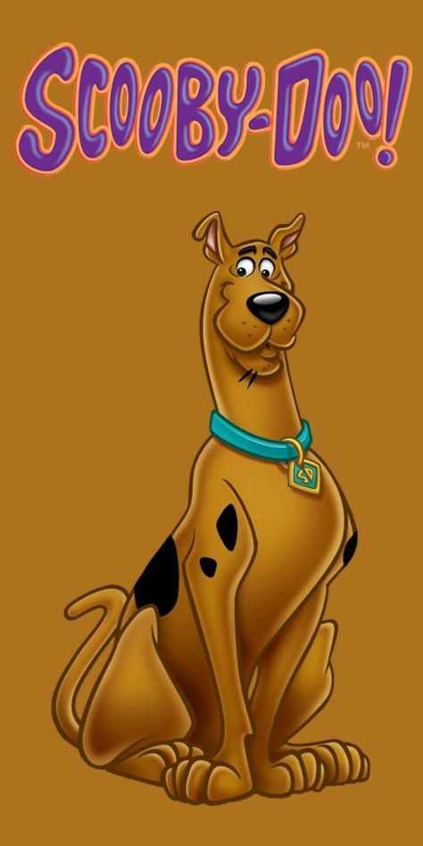 Scooby Doo Wallpaper Backgrounds, Scoby Doby Doo, Scooby Doo Art, Scooby Halloween, Scooby Doo 1969, Scooby Doo Wallpaper, Scooby Doo Scooby, Chivas Wallpaper, Shaggy Scooby Doo