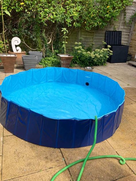 A MUM has shared how her unconventional ‘paddling pool’ has proved a hit with her kids.  Brigitte Taylor purchased a pet pool and it has proved no match for her cat’s sharp claws.  The Pecute Paddling Pool For Dogs is sturdier than traditional paddling pools because it is foldable, rather than inflatable.  And the best […] Babysitting Aesthetic, Pool For Dogs, Paddling Pool, Sharp Claws, Dog Pool, Cat S, Dog Hacks, Pool Designs, Hot Days