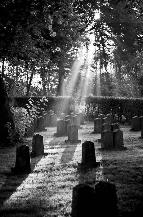 Graveyard Tattoo, Cemeteries Photography, Cemetery Headstones, Old Cemeteries, Cemetery Art, Emily Rose, Old Churches, Six Feet Under, Dark Photography