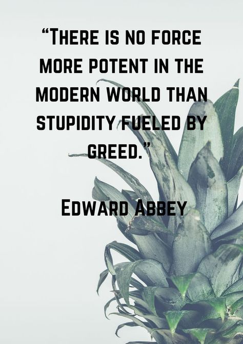 “There is no force more potent in the modern world than stupidity fueled by greed.” — Edward Abbey Greedy People Quotes, Greed Quotes, Room 101, Greedy People, Edward Abbey, Brain Tricks, Self Healing Quotes, Primary Sources, Smooth Operator