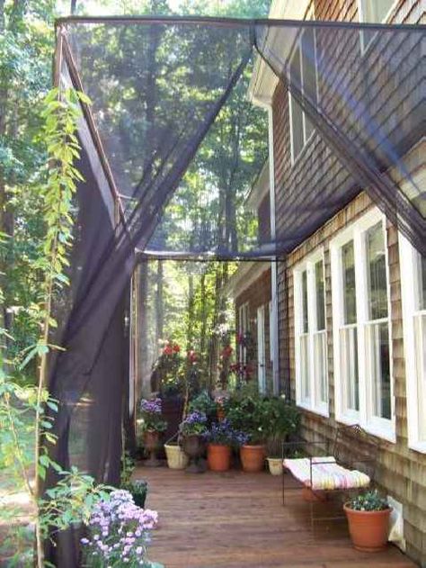 Mosquito Netting Curtains for a DIY Screen Patio Diy Patio Ideas, Screen Patio, Mosquito Curtains, Porch Enclosures, Diy Screen, Screened In Deck, Garden Canopy, Screened In Patio, Privacy Screen Outdoor