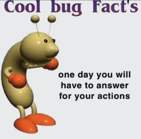 Cool Bug Facts, Bug Facts, Cool Bugs, Reaction Images, Gods Not Dead, Atonement, Weird Stuff, Mood Humor, Shadow The Hedgehog