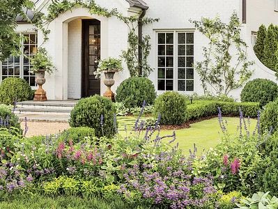 Small Front Garden Ideas, Zoysia Grass, Landscaping Ideas Front Yard, Small Front Gardens, Endless Summer Hydrangea, Southern Garden, Green Backdrops, Front Yard Landscaping Ideas, Yard Landscaping Ideas