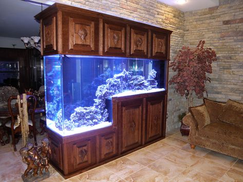 Click to Close Custom Aquarium, Wall Aquarium, Acrylic Aquarium, Saltwater Aquarium Fish, Amazing Aquariums, Fish Tank Stand, Diy Fish Tank, Tank Stand, Aquarium Stand