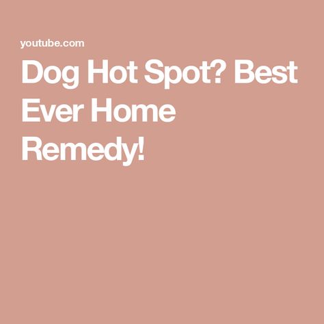 Dog Hot Spot? Best Ever Home Remedy! Dog Hot Spot Remedy Diy, Hot Spots On Dogs, Dog Hot Spots, Animal Health, Hot Spots, Pet Health, For Dogs, Home Remedies, Loki