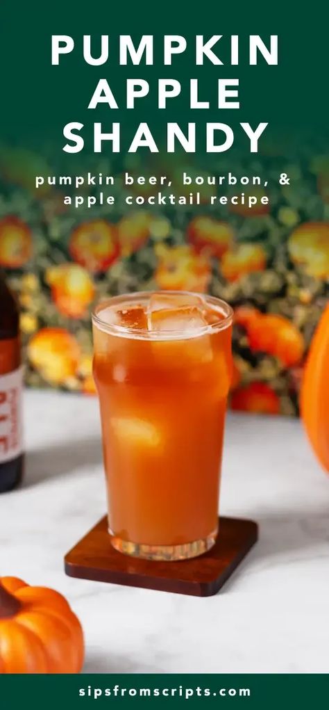 The Pumpkin Apple Shandy is a beer and whiskey-based cocktail recipe that was created by Jenn Meyering in Fort Worth, Texas. This variation was adapted from her blog jennifermeyering.com. Caramel Apple Whiskey Cocktail, Pumpkin Beer Cocktail, Jack Daniels Fall Cocktails, Autumn Whiskey Cocktail, Whisky Apple Cider Cocktail, Fultons Harvest Pumpkin Pie Cocktails, Pumpkin Ale, Pumpkin Beer, Craft Cocktail Recipe