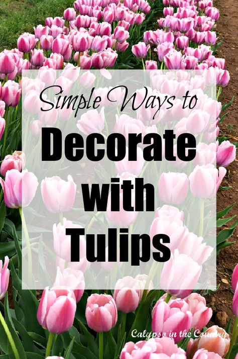 A collection of spring decorating ideas inspired by tulips! From spring table settings with tulips to spring crafts, here are a bunch of ideas to decorate with tulips in your home. Tulip decor inspiration from around the internet. tulip bouquet, tulip wreath, tulip diy, tulip arrangments, tulip festival. Faux Tulips Decor, Decorating With Tulips, Tulip Display Ideas, Tulips Table Decor, Tulip Table Decor, Tulip Arrangement Ideas, Tulip Decorations, Tulip Arrangements, Round Table Settings