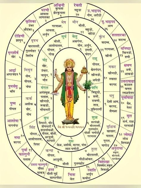 Vedic Astrology Charts, Ancient Wisdom Quotes, Medical Astrology, Mantra For Good Health, Jyotish Astrology, Astrology Remedy, Indian History Facts, Hindu Rituals, Gayatri Mantra