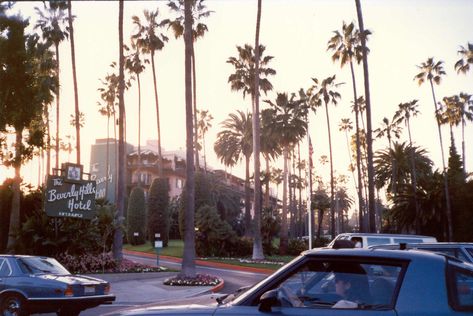 1104 Beverly Hills Hotel Beverly Hills, CA 1989 Beverly Hills 80s Aesthetic, 80s Beverly Hills Aesthetic, Vintage Beverly Hills Aesthetic, Beverly Hills 90s Aesthetic, Hollywood Hills Aesthetic, 80s Beverly Hills, Open Curtains, Vintage Beverly Hills, La Aesthetic