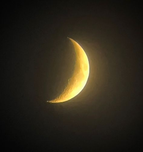 Moon Light Aesthetic, Golden Moon, Crescent Moon Aesthetic, Brown Moon Aesthetic, Moon Royalty Aesthetic, Yellow Moon Aesthetic, Cresent Moon Pics Aesthetic, Yellow Crescent Moon, Crescent Moon Light