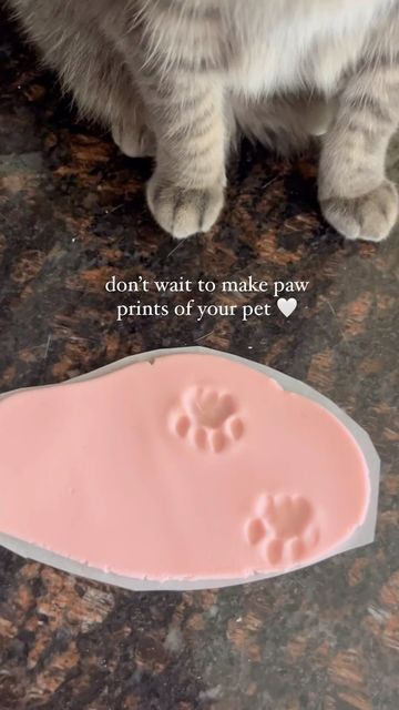 Liam (clingy cat) & Julia on Instagram: "easy paw print DIY 🐾 recipe by @the.fantastic.furr - check out their page for all the instructions! 💗

would you try this?

#pawprints #catlover #catsofinstagram #cutecat #petDIY #DIY #petcraft #orangecat #catenrichment" Paw Print Diy, Clingy Cat, Diy Cat Toys, Pet Paw Print, Friend Crafts, Cat Hacks, Cat Paw Print, Diy Recipe, Cat Garden