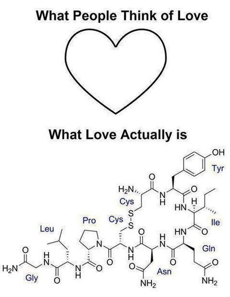 Love, it's like in the air and shit - Album on Imgur Chemistry Jokes, Chemical Formula, Science Jokes, Love Actually, Science Humor, Organic Chemistry, Biochemistry, Intp, Neuroscience