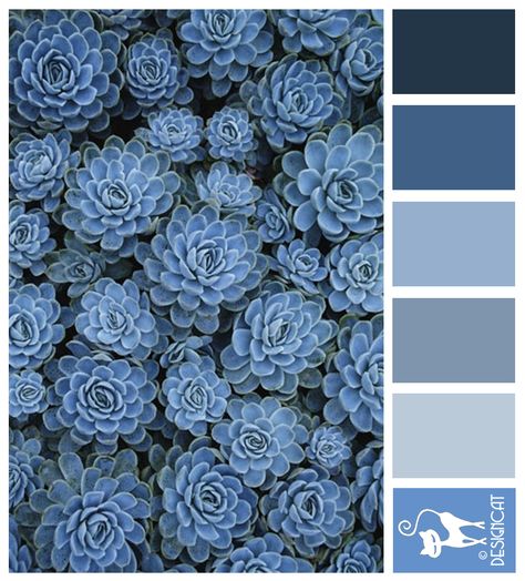 Blue sedum - Navy, Blue, Grey, Slate, Pastel  - Designcat Colour Inspiration Pallet Pastel Navy Blue, Navy Blue Colour Pallet, Slate Color, Pallet Blue, Blue Pallete Pastel, Slate Blue Color Palette, Blue Pallet, Interior Paint Colors Schemes, Design Websites