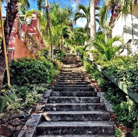 The 99 steps leading up to Blackbeard's castle in St. Thomas. #passporttoparadise St Thomas Vacation, St Thomas Virgin Islands, Charlotte Amalie, Carribean Cruise, Virgin Island, United States Virgin Islands, Rumor Has It, Pirate Treasure, The Pirate