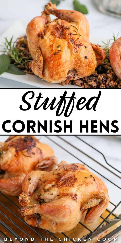 These stuffed Cornish hens make for a delicious and homemade holiday dinner, perfect for a festive Christmas feast. These easy-to-make delights are baked to perfection, offering a flavorful and satisfying meal that impresses. With a simple preparation process, these stuffed hens are a tasty centerpiece for your holiday table. Try this recipe now! Cornish Hen Stuffed, Cornish Hens With Stuffing, Thanksgiving Cornish Hen Recipe, Cornish Game Hen Recipes For Thanksgiving, Cornish Hen Stuffed With Wild Rice, Stuffed Game Hen Recipes, Stuffed Cornish Game Hen Recipes, Cornish Hen Stuffing, Cooking Cornish Hens In Oven