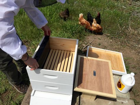 Get It Done, Hobby Farms, Save The Bees, Bee Keeping, Bee Hive, Step By Step Instructions, Step By Step, Bee