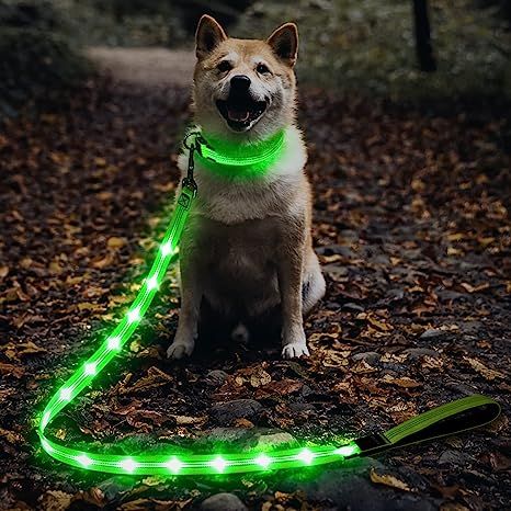 【】made of nylon webbing with light guide which improves your dog visibility and safety 【】can be set to quick flash, slow flash or steady glow by pushing the button. 【】Leash can be recharged by Micro USB cable with daily use devices. Charge time: 2 hours. Use 8-10 hours for slow flash, 6-8 hours for quick flash, 2-3 hours for steady glow 【】*paid link Pet Store Ideas, Dog Light, Led Dog Collar, Rechargeable Light, Up Dog, Dog Lead, Lighting Guide, Dog Leads, Rescue Dogs