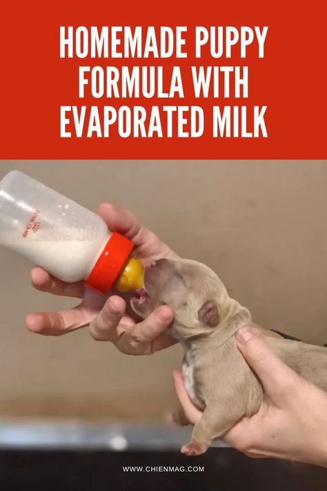 Formula for Puppy Milk Replacement Using Evaporated Milk Puppy Formula Recipe, Puppy Milk Replacement Recipe, Gruel Recipe, Bottle Feeding Puppies, Milk Replacement, Foods Dogs Can Eat, Meals For Three, Puppy Formula, Pretty Puppies