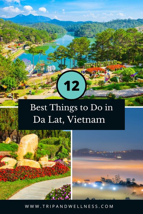 Planning a trip to Da Lat, Vietnam? Explore our top picks for the 12 Best Things to Do. 🌳🌸 From serene gardens to thrilling experiences, make the most of your visit! #DaLatTravel #VietnamExploration 🌍 Vietnam Da Lat, Da Lat Vietnam, Vietnam Holiday, Dalat Vietnam, Alpine Coaster, Vietnam Holidays, Vietnam Voyage, South Vietnam, Travel Italy